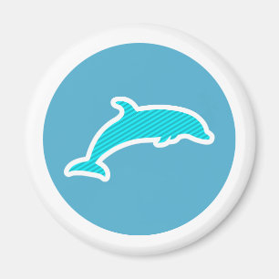Dolphin Magnet