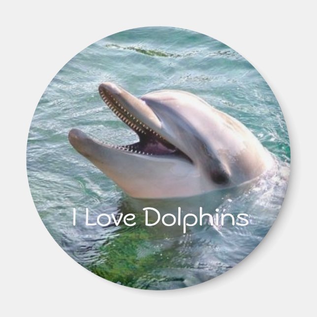 Dolphin Magnet (Front)