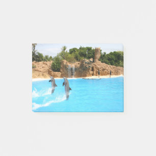 Dolphin Marine Animal Swim Dive Destiny Destiny's Post-it Notes