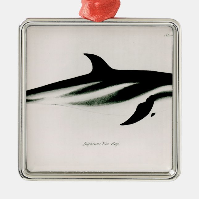 Dolphin Metal Tree Decoration (Front)