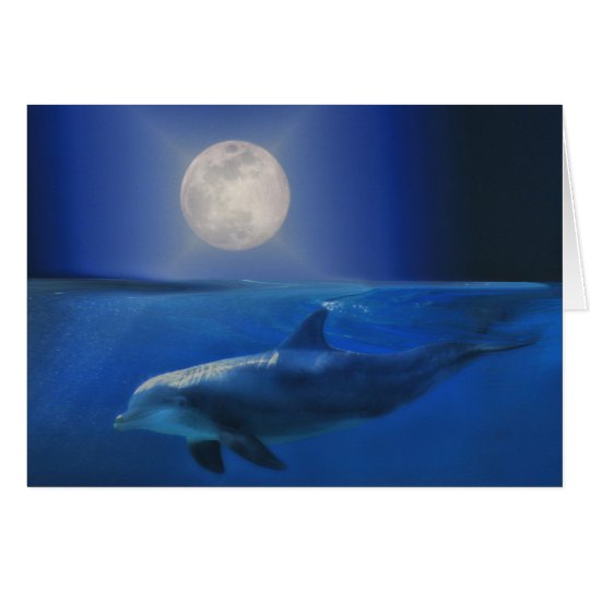 Dolphin Moon and Universe Birthday Card