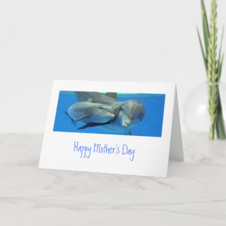 Dolphin Mother's Day Card