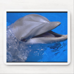 Dolphin Mouse Mat