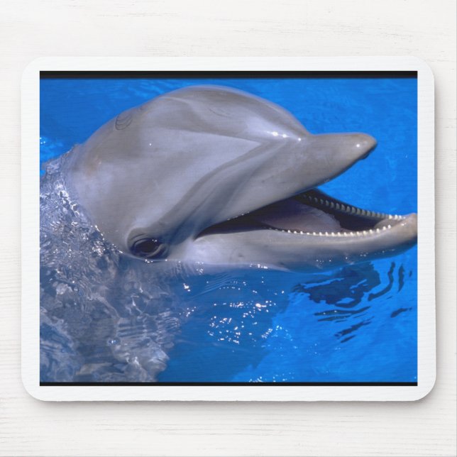 Dolphin Mouse Mat (Front)