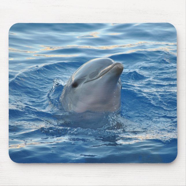 Dolphin Mouse Mat (Front)