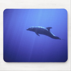 Dolphin Mouse Mat