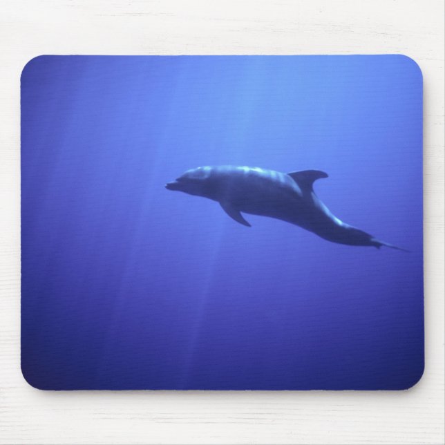 Dolphin Mouse Mat (Front)