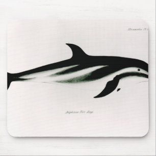 Dolphin Mouse Mat