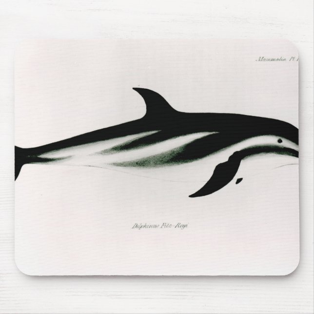 Dolphin Mouse Mat (Front)