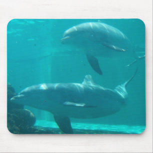 Dolphin Mousepad