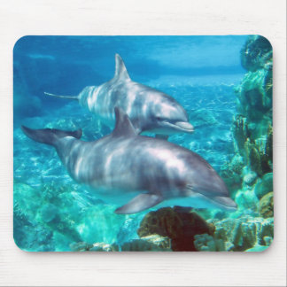 Dolphin Mousepad