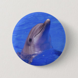 Dolphin Nose 6 Cm Round Badge