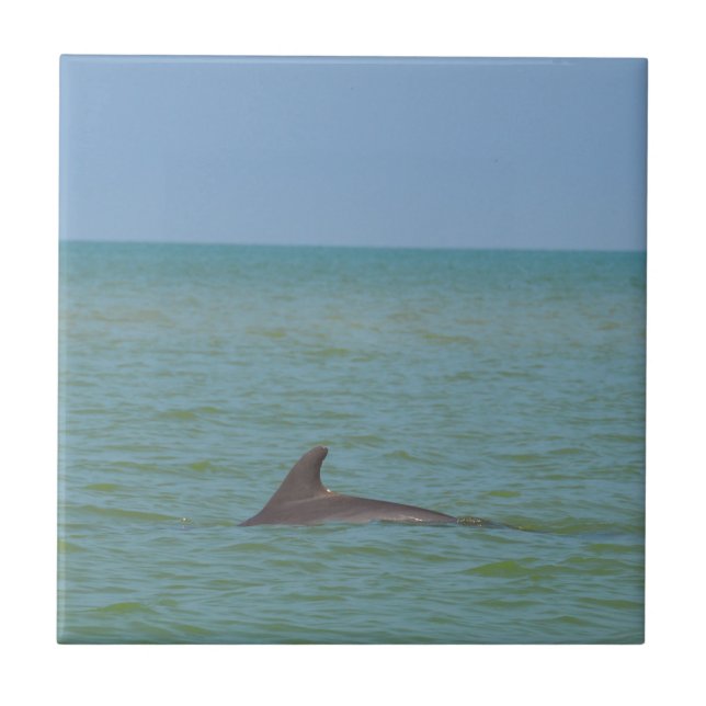 Dolphin on Sanibel Tile (Front)
