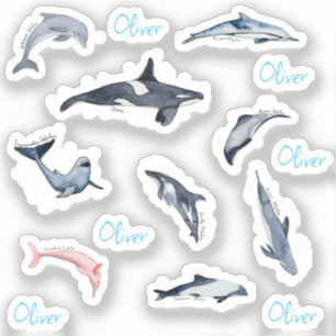 Dolphin orca watercolor drawing personalised name