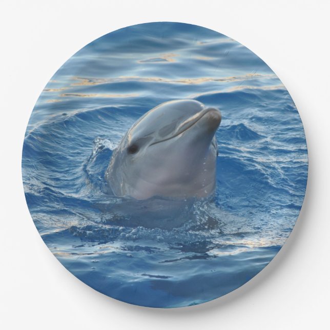 Dolphin Paper Plate (Front)