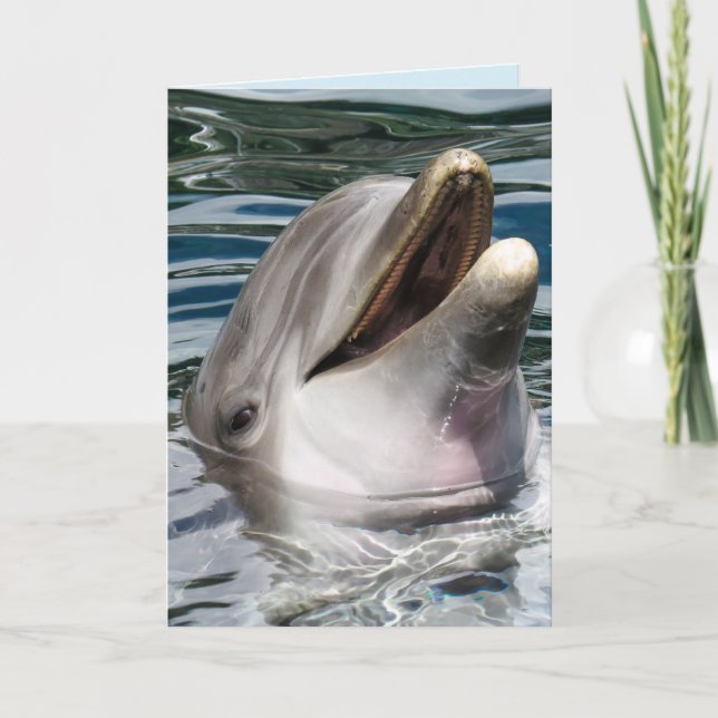 DOLPHIN PHOTOGRAPHY SMILE BIRTHDAY CARD (Front)