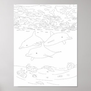 Dolphin Pod Adult Colouring Poster
