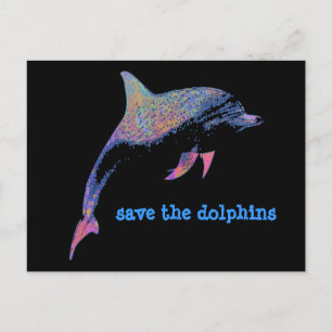 dolphin postcard