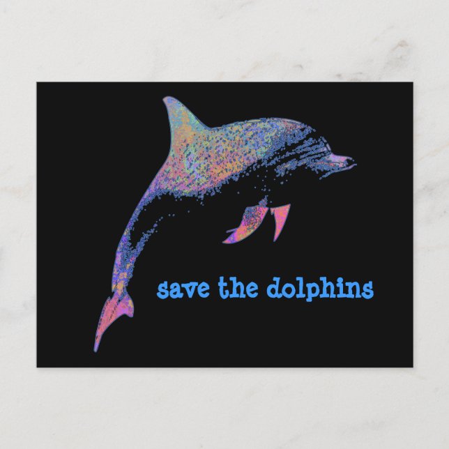 dolphin postcard (Front)