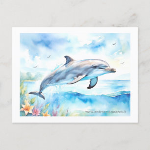 Dolphin Postcard