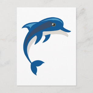 Dolphin Postcard