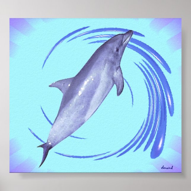 Dolphin Poster (Front)