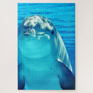 Dolphin Puzzle