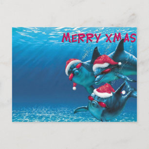 Dolphin Santa Hat Funny Christmas Postcard