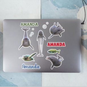 Dolphin Sea Life Set Name Monogram