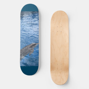 Dolphin Skateboard