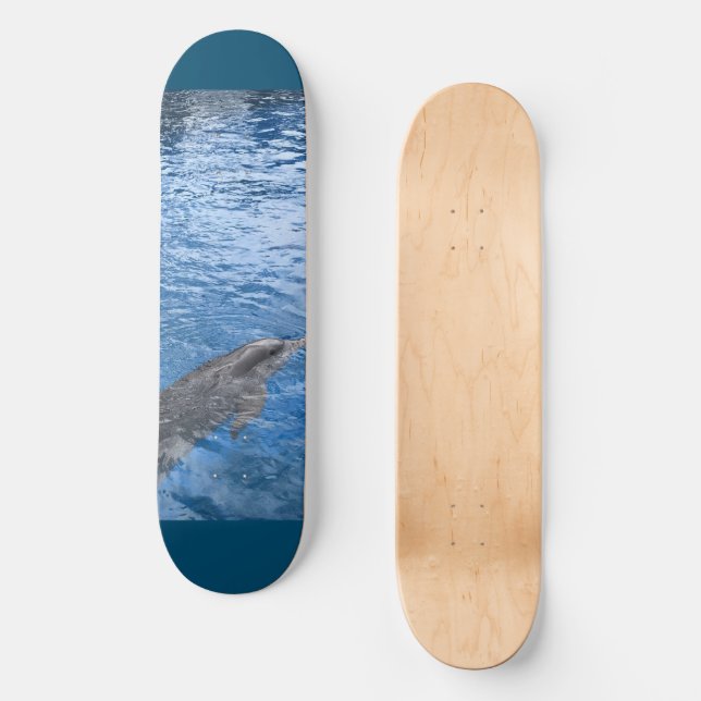 Dolphin Skateboard (Front)