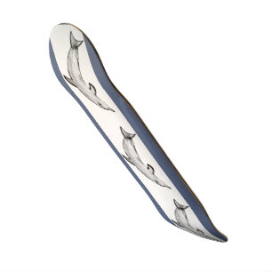 dolphin skateboard