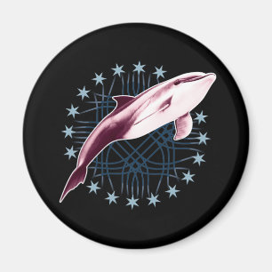 Dolphin Slick Graphic Design Magnet