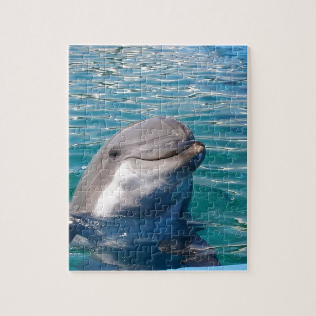 Dolphin Smile Jigsaw Puzzle (Vertical)