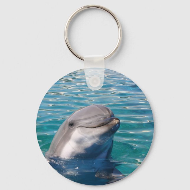Dolphin Smile Key Ring (Front)