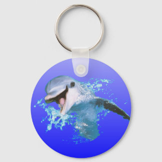 Dolphin Smiling Key Ring