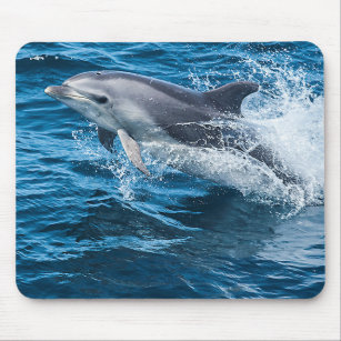 Dolphin Splashing Mouse Mat