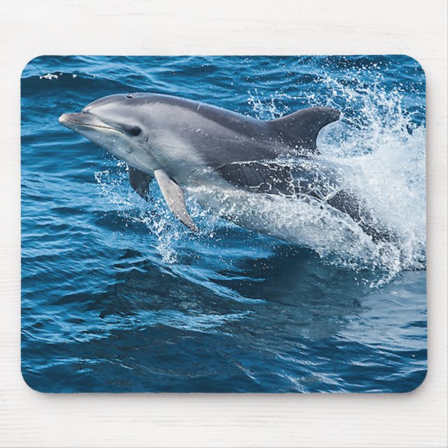 Dolphin Splashing Mouse Mat (Front)