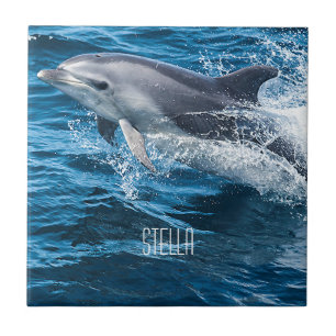 Dolphin Splashing Tile