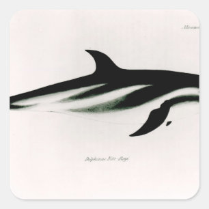 Dolphin Square Sticker