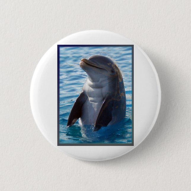 dolphin stand 6 cm round badge (Front)