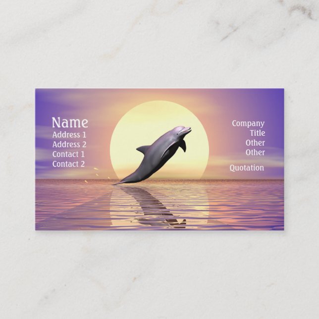 Dolphin Sun Business Card (Front)