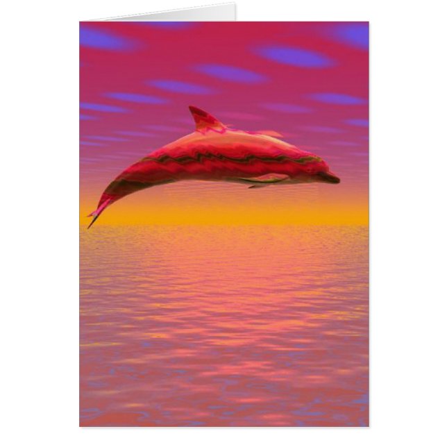 Dolphin Sunset (Front)
