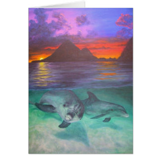 dolphin sunset