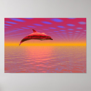 Dolphin Sunset Poster