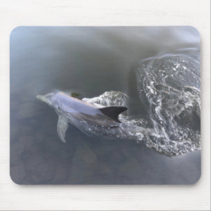 Dolphin Swimming Mouse Mat