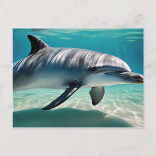 Dolphin Swimming Underwater Postcard