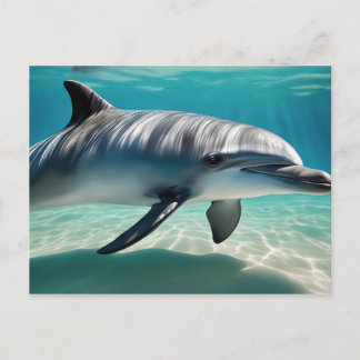 Dolphin Swimming Underwater Postcard