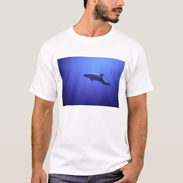 Dolphin T-Shirt (Front)