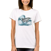 dolphin